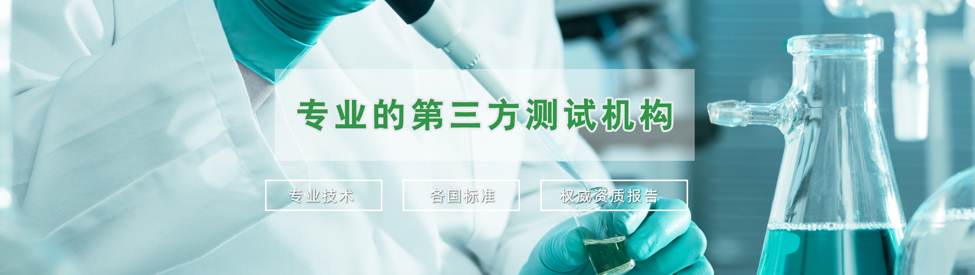 中孚查询